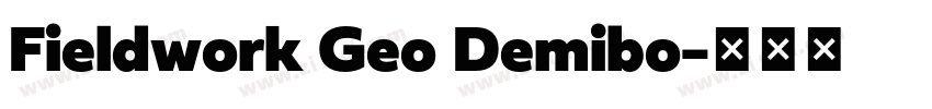 Fieldwork Geo Demibo字体转换
